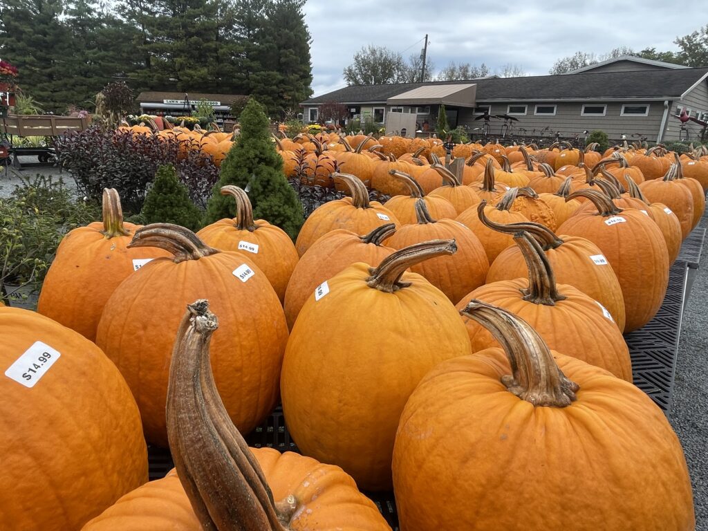 Edwards Garden Center