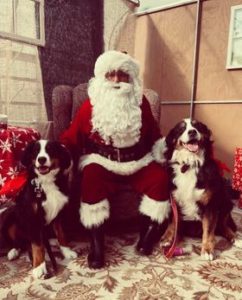 Santa Poses with two dogs.