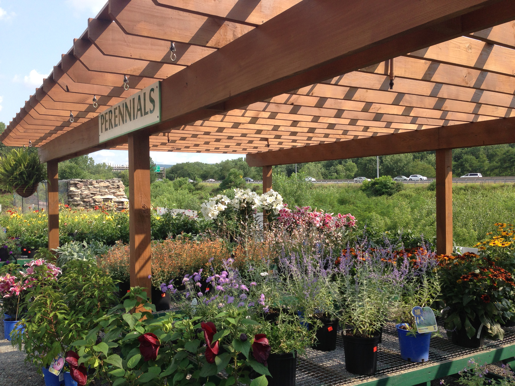 Edward's Garden Center in Forty Fort offers hundreds plants and flowers