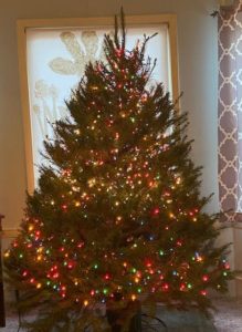 Christmas tree care